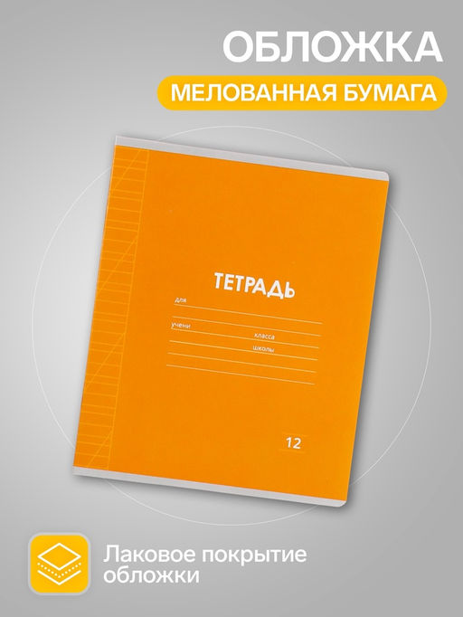 Набор тетрадей 12 листов в косую линейку, Calligrata «Однотонная Классика», серые листы, МИКС