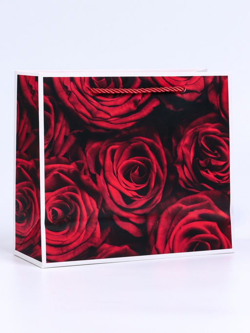 Цена за 2 шт. Пакет подарочный с окном Розы, 25?10?22 см