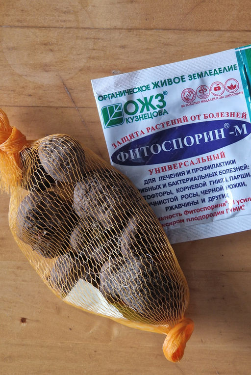 Лиатрис колосковидный (Spicata)