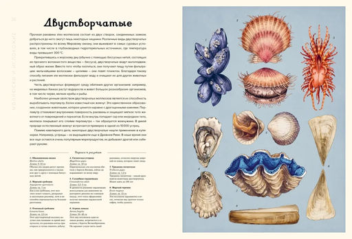 Океанариум. Триник Л. - Махаон фото 5