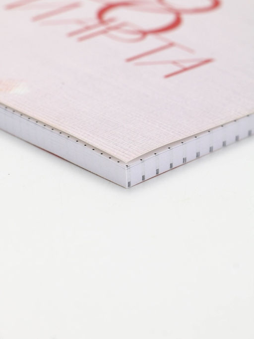 Цена за 2 шт. Ежедневник в точку А5, 64 л "8 марта. Тюльпаны"