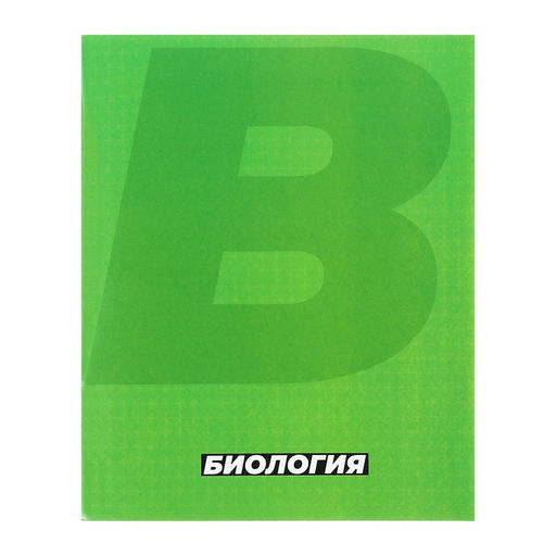 Набор предметных тетрадей Calligrata. MonoTone, 10 предметов, 36 листов, со справочным материалом, серые листы, обложка из мелованной бумаги