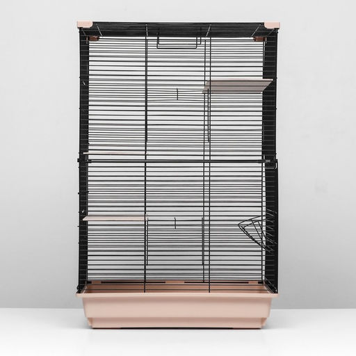 Клетка для шиншиллы Пижон №10, разборная, 58 х 40 х 88, бежевая  фото 8