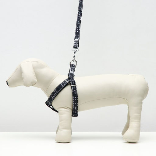 Комплект амуниции двухслойный, размер L, поводок 120 х 2 см, ОШ 31-45, ОГ 35-52 см, звёзды - Пижон фото 6