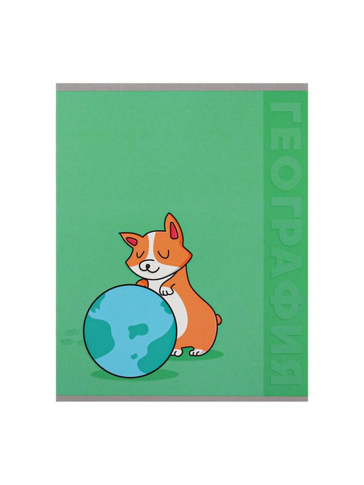 Набор предметных тетрадей Calligrata TOP «Животные», 12 предметов, 48 листов, со справочным материалом, обложка из мелованного картона