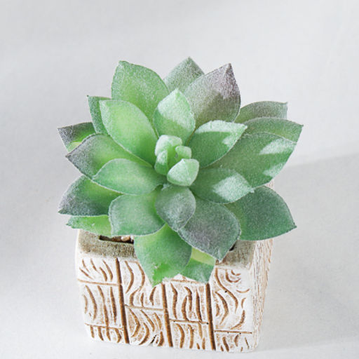 Цветочная композиция Кактус / WER-15 /уп 12/288/ микс - Галеонтрейд фото 14