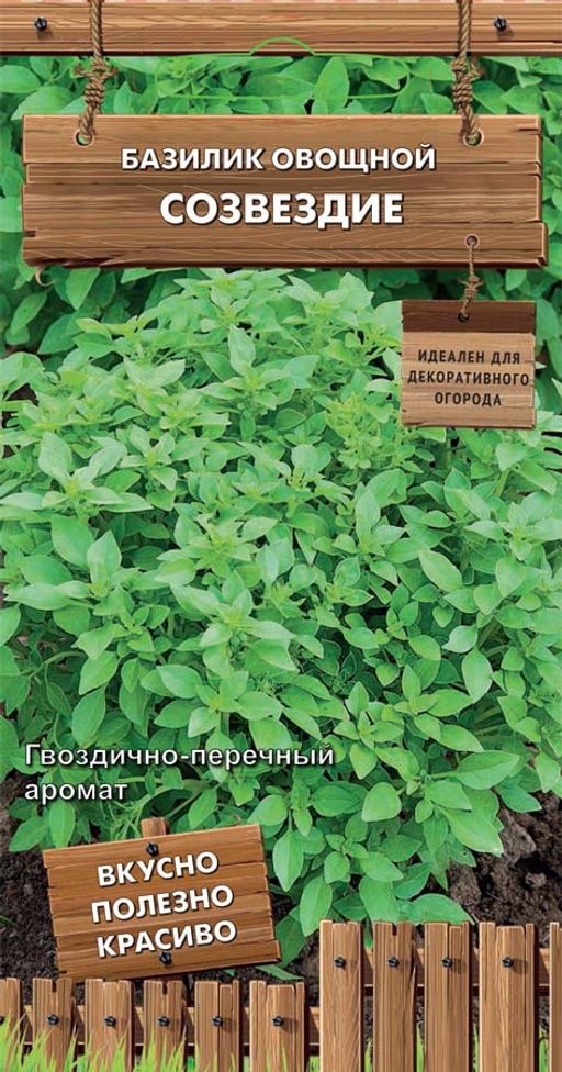 Базилик овощной Созвездие (сер.Декоративный огород) (А) (ЦВ) 0,1гр - Поиск фото 2