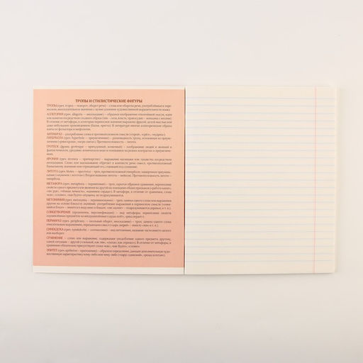 Тетради предметные, 48 л., А5, набор из 4 шт. «Персонажи»