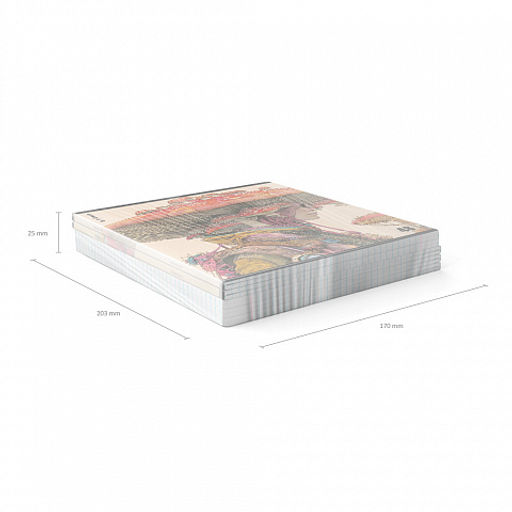 Цена за 5 шт. Тетрадь общая ученическая ErichKrause Forest Fashion, 48 листов, клетка, твин-лак_MIX-PACK  фото 11