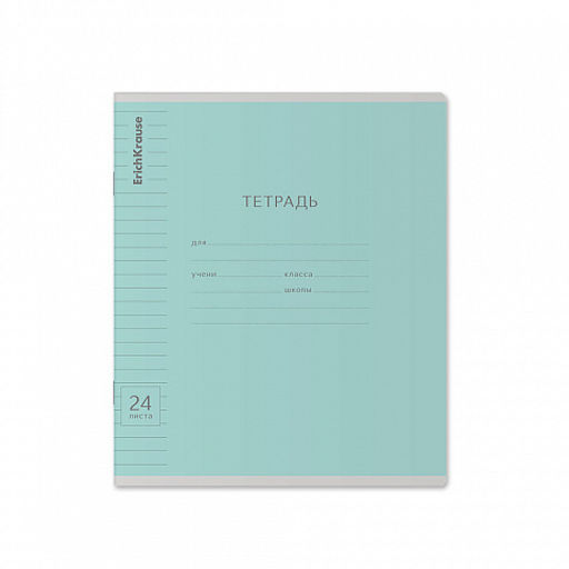 Цена за 160 шт. Тетрадь школьная ученическая ErichKrause Классика Visio ассорти, 24 листа, линейка (в плёнке по 10 шт.) фото 17