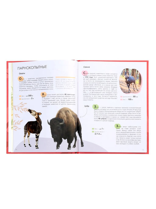 Детская энциклопедия «Красная книга», 48 стр. 7+