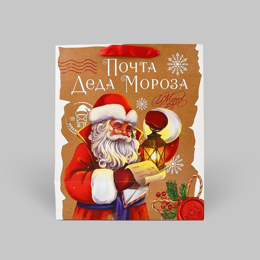 Пакет подарочный новогодний ламинированный «Почта Деда Мороза», ML 23×27×11.5 см