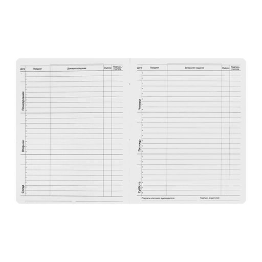 Дневник школьный для 1-11 классов «Что я тут делаю?», интегральная обложка, искусственная кожа, шелкография, ляссе, 80 г/м²