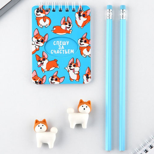Подарочный набор канцелярский, ластики 2 шт., блокнот, карандаши «Спешу за счастьем»