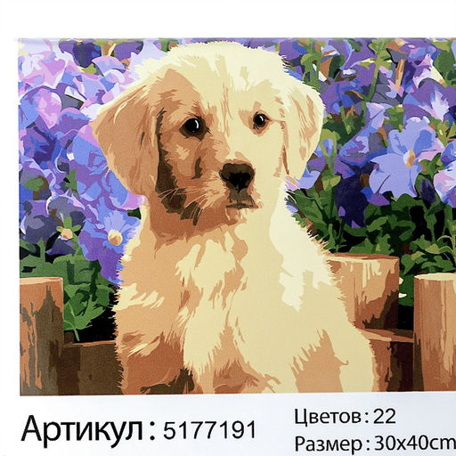 Картина по номерам на холсте с подрамником Щенок лабрадора, 40х30 см - Школа талантов фото 6