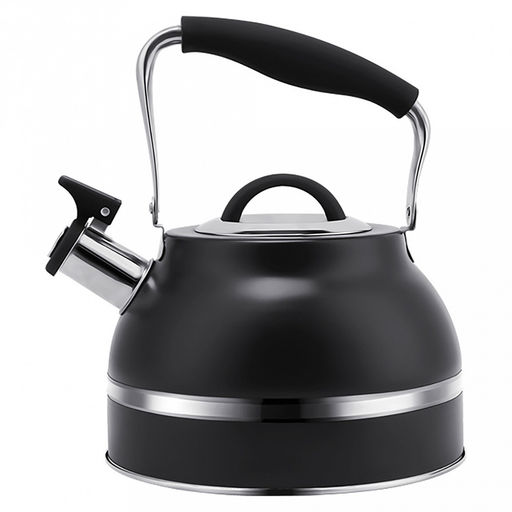 Чайник из нержавеющей стали "Linea Tea" 3л, д22см, h17см, со свистком, многослойное капсульное дно, нескользящая ручка, цветная коробка, "Regent" (Китай) Подходит для всех видов плит, включая индукционную