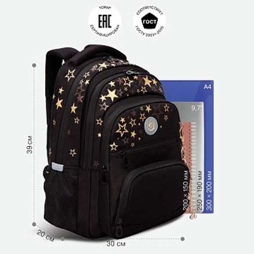 RG-462-2 Рюкзак школьный с обвесом - Grizzly фото 25