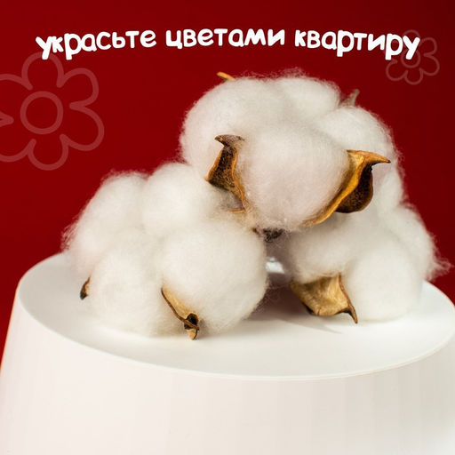 Декор для творчества «Сухие цветы хлопка» на проволоке, 3 шт.