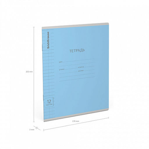Цена за 280 шт. Тетрадь школьная ученическая ErichKrause Классика Visio ассорти, 12 листов, частая косая линейка (в плёнке по 10 шт.) фото 32