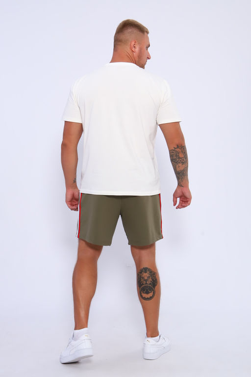 Шорты мужские 35336