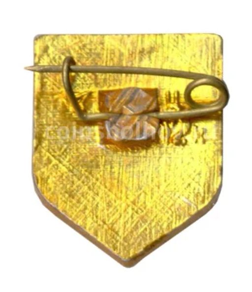 Значок Сосновка