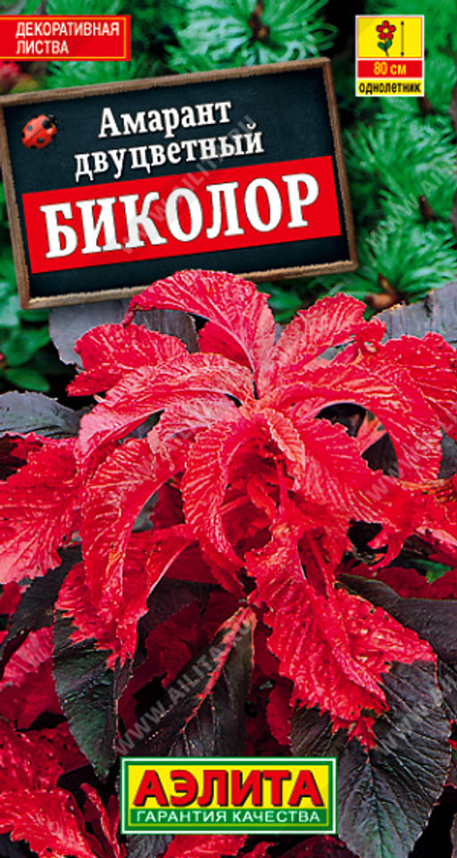 Амарант Биколор (2027)