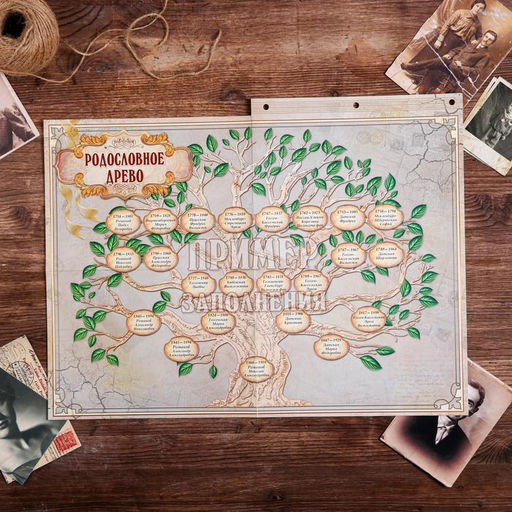 Родословная книга «Перо», 66 листов, 20 х 25 см.