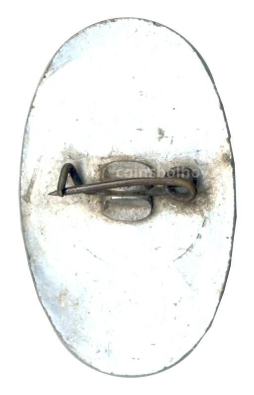 Значок 50 лет ИОТК