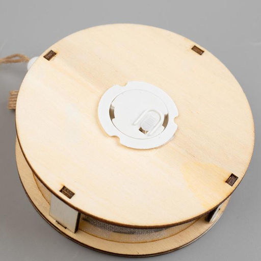 Ёлочная игрушка Шар с веткой, 10х10х2 см, от батареек, свечение тёплое белое - Luazon lighting фото 3