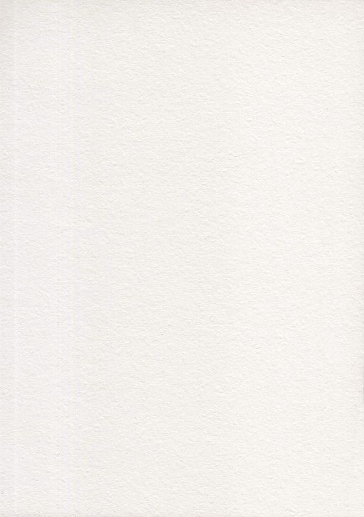 Аква-колор IZO-AWG-A3 Изостудия Альбом для акварели 100% целлюлоза 200 г/м2 A3 30 х 40 см склейка с одной стороны 12 л. Пятнистый олень гознак тисненая - Светоч фото 4