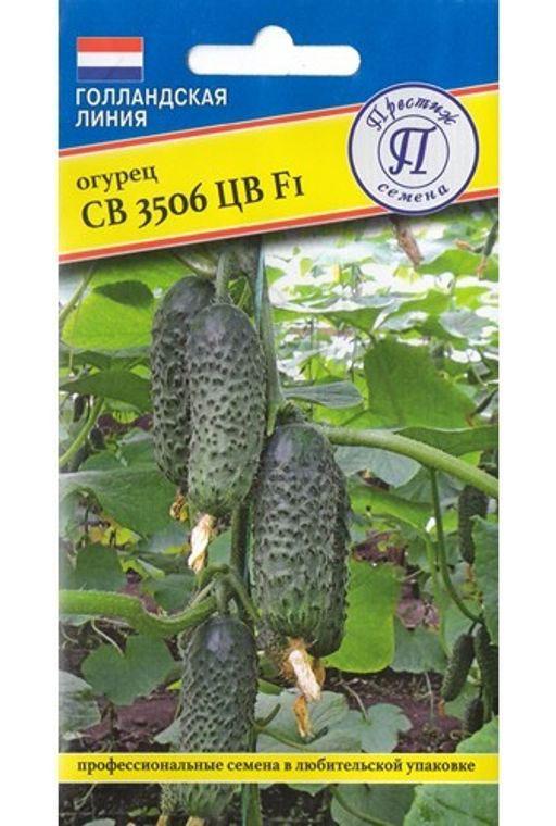 Огурец СВ 3506 ЦВ F1 5шт. (Голландия) (Престиж)