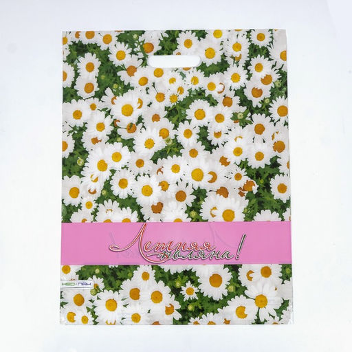 Цена за 25 шт. Пакет «Летняя поляна», полиэтиленовый, с вырубной ручкой, 38×47 см, 60 мкм