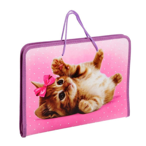 Папка для труда, А4, пластиковая, 32.5?23?2.5 см Самая милая