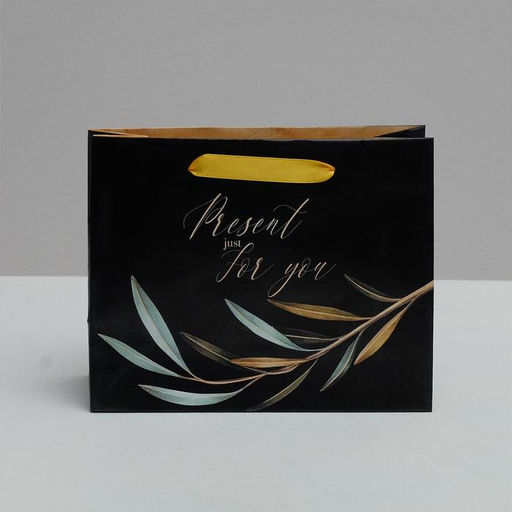 Пакет ламинированный горизонтальный Present just for you, 22 17.5 8 см - Дарите счастье фото 2