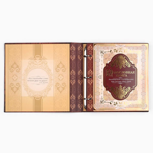 Родословная книга с рамкой под фото «Родословная книга», под дерево, 50 листов, 21.5×23.7 см