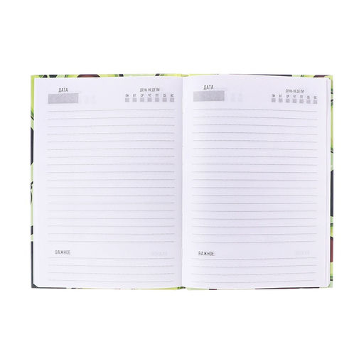 Ежедневник недатированный А5, 80 листов, Calligrata «Авокадо», матовая ламинация