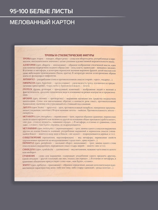 Цена за 10 шт. Предметная тетрадь по литературе Calligrata «На Чёрном», 48 листов, в линейку, со справочным материалом, обложка из мелованного картона