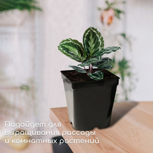 Цена за 3 шт. Горшок для рассады, 5 л, 18.5×18.5×20 см, пластик, МИКС, Greengo