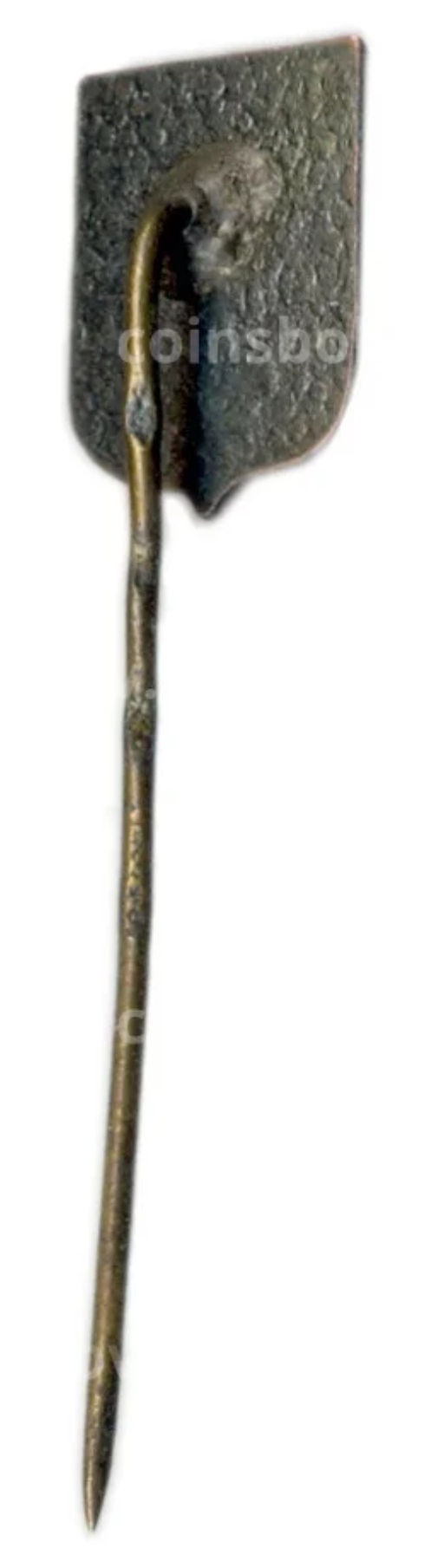 Значок Рига