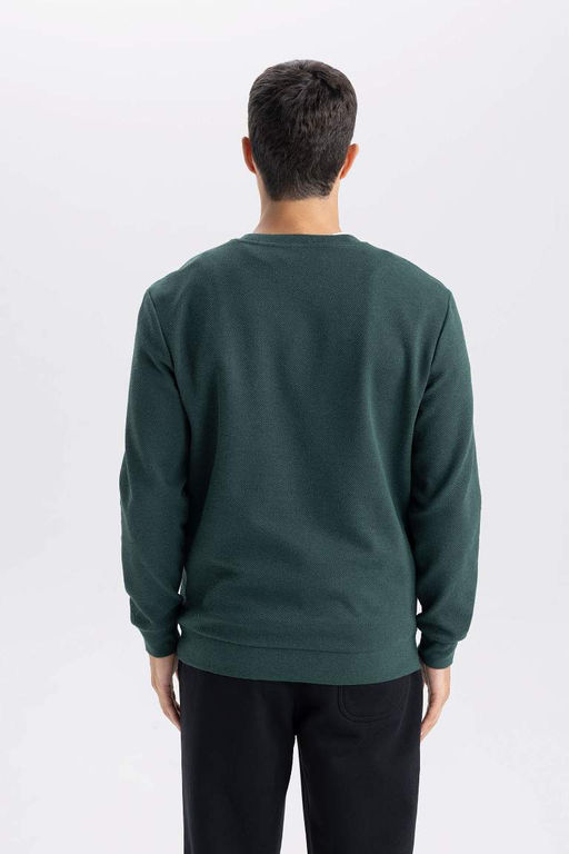 Жаккардовый свитшот стандартного кроя с круглым вырезом - Defacto фото 6