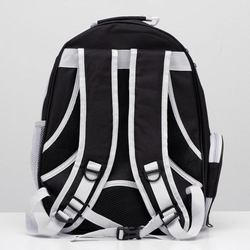 Рюкзак для переноски животных прозрачный, 31 х 28 х 42 см, чёрный - Пижон фото 3