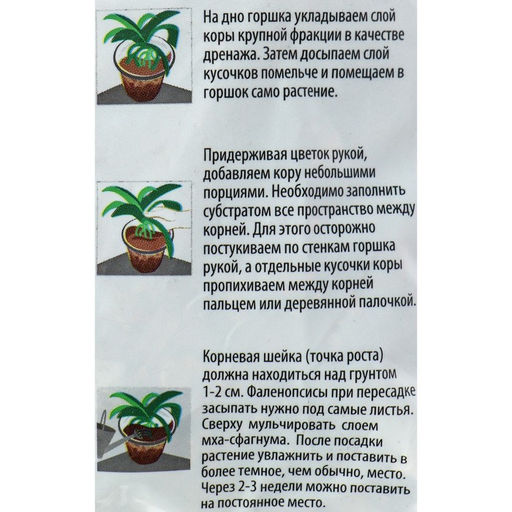 Цена за 2 шт. Набор компонентов Люкс Орхидея, 2.5 л