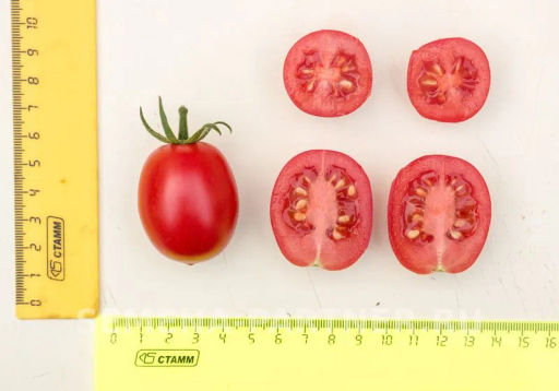 Томат Земледелец - Партнер фото 5