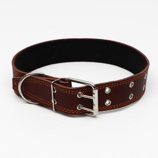 Ошейник кожаный на синтепоне, 82 х 4.5 см, ОШ 50-70 см, коричневый - Пижон фото 2