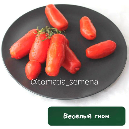 Веселый гном