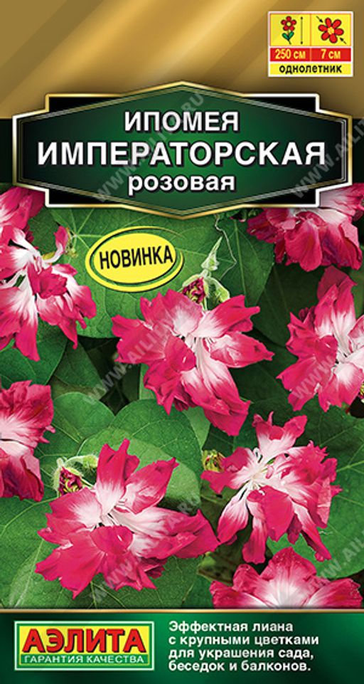 Ипомея Императорская розовая (2025)