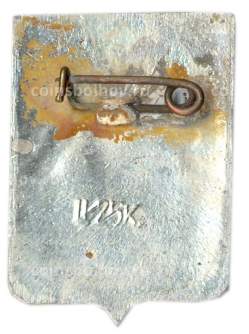 Значок Устюжна