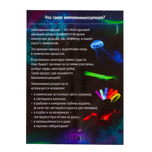 Набор для опытов Новогоднее чудо - Эврики фото 5