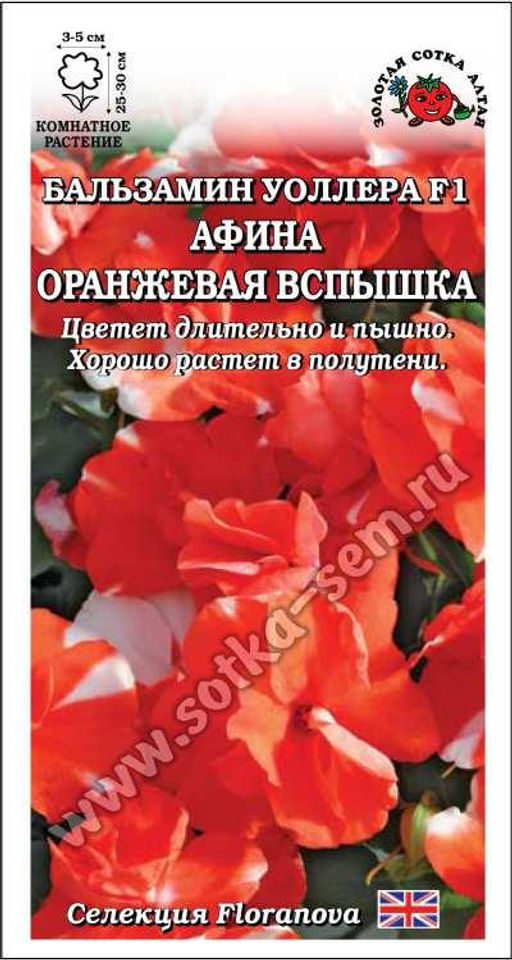 Бальзамин Афина Оранжевая вспышка 5шт. (Золотая сотка Алтая)