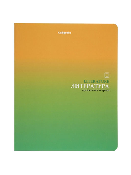 Комплект 12 предметных тетрадей «Градиент», 48 листов, справочная информация, 60 г